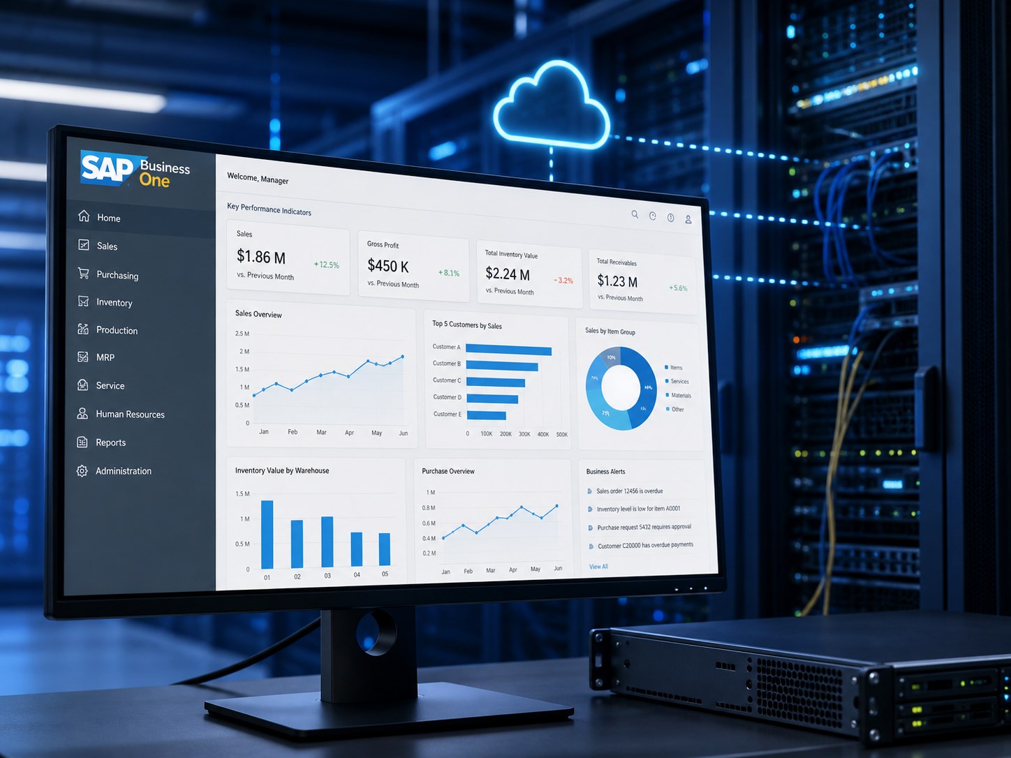 SAP Business One dashboard running on managed cloud server infrastructure